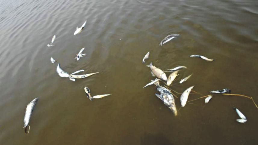 haor_disaster_2_0.jpg