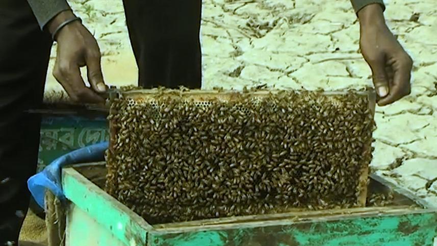 Honey-from-Mustered.mp4_web_2.jpg