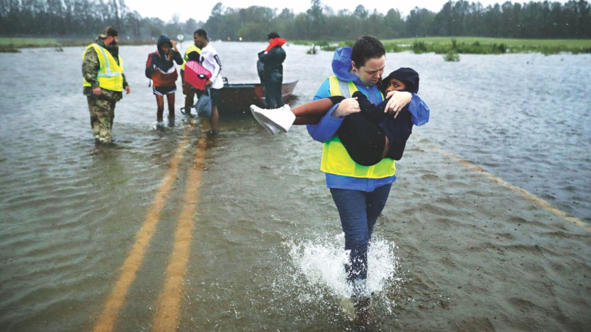 hurricane_florence_bat.jpg