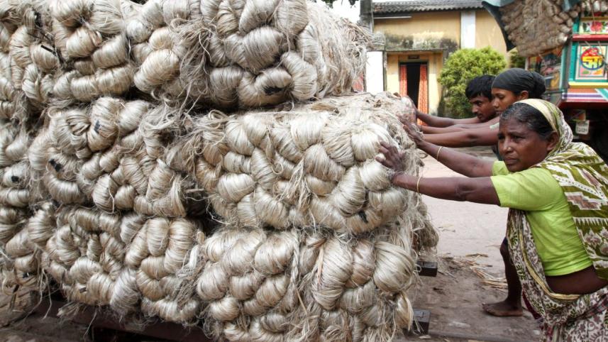 jute11.jpg