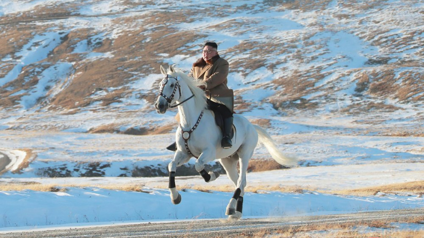 kim_3.jpeg