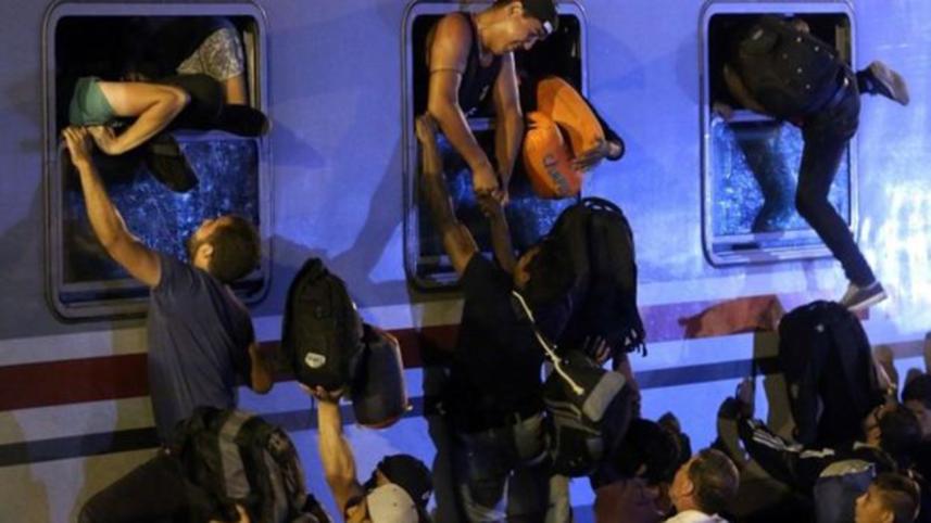 MIGRANT-2.jpg