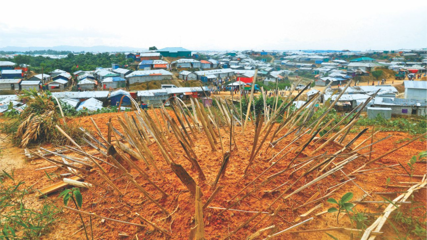 murder_in_the_camps