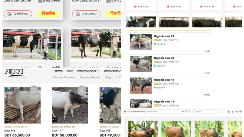 qurbani-haat-online.jpg