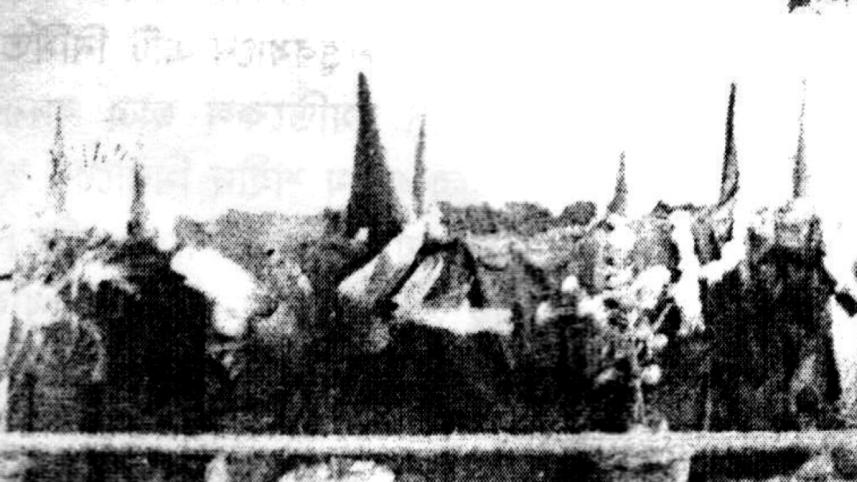 rare_pictures_12.jpg