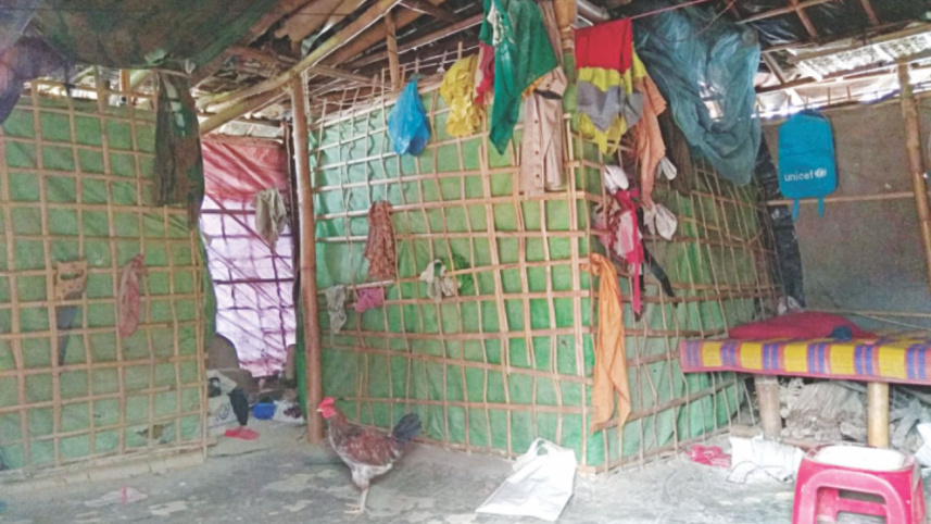 rohingya_return_2.jpg