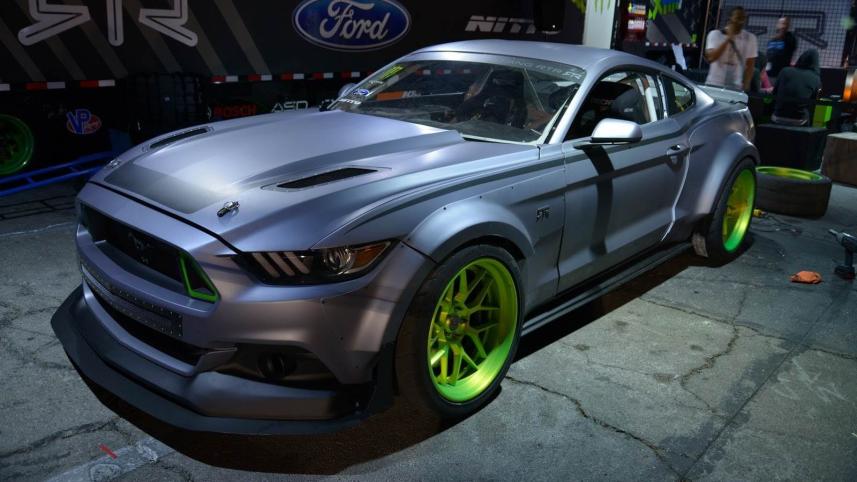 Sema3.jpg