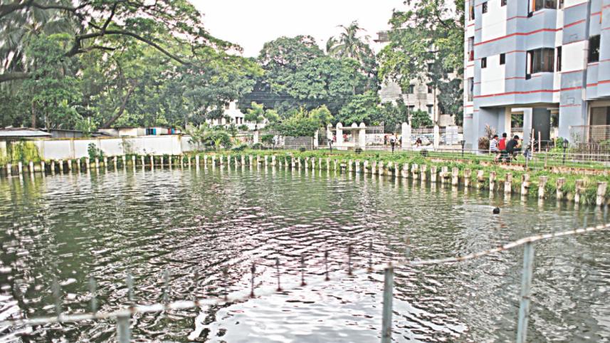 shibbari_water_pond.jpg