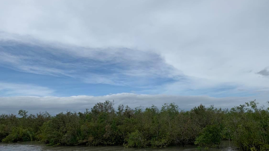 sundarbans_after_cyclone_bulbul.jpg