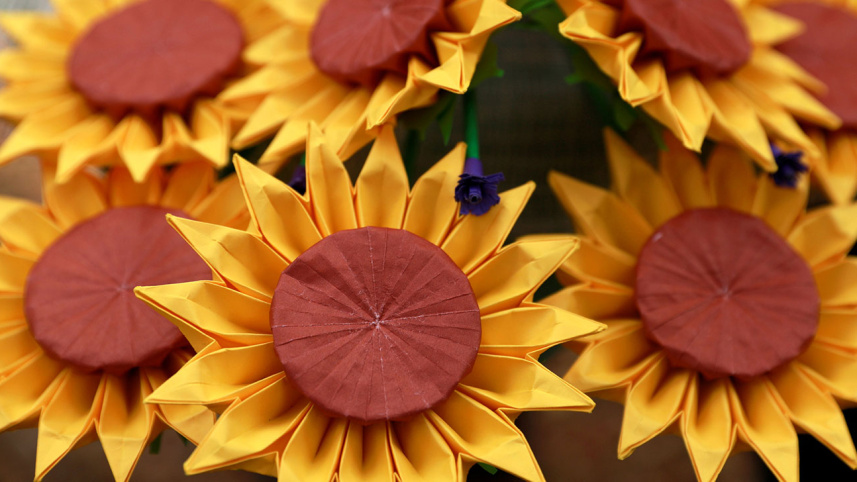 sunflower_0.jpg