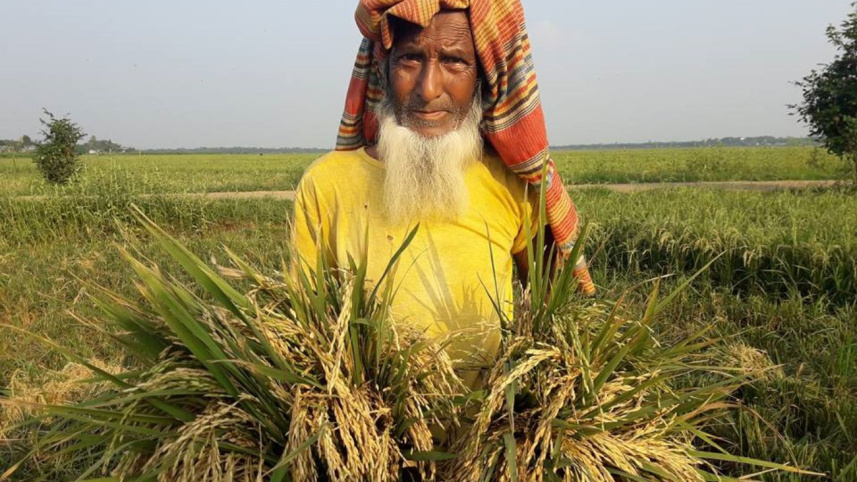 paddy blast