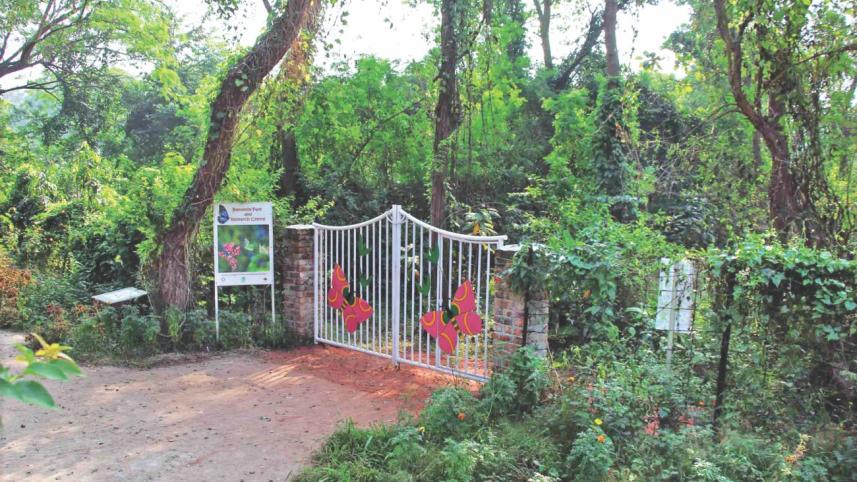 the_butterfly_park_research_centre1.jpg