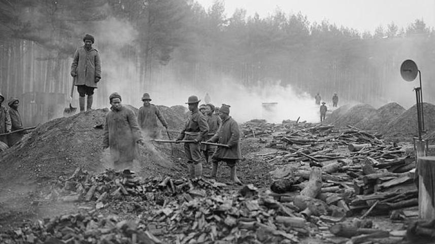 the_indian_labour_corps_on_the_western_front_1916-1918_q8493_1.jpg
