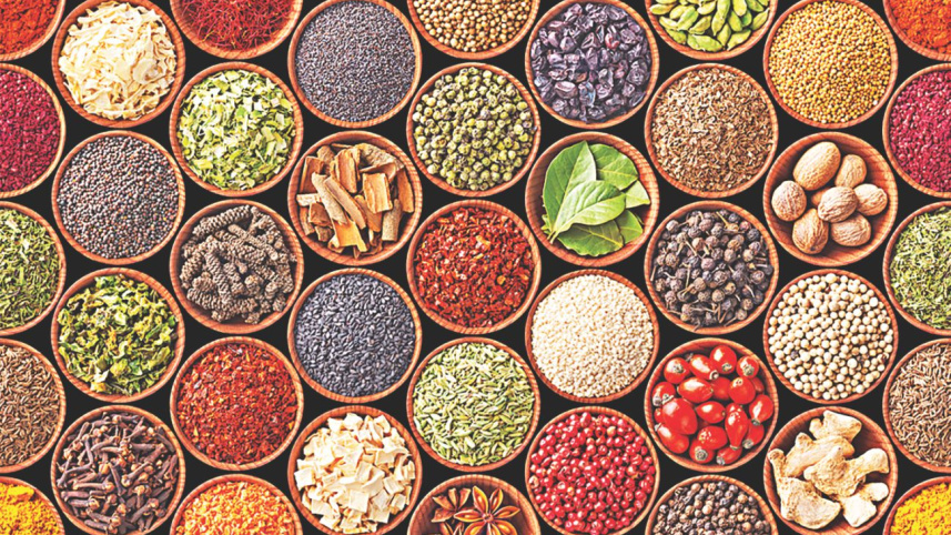 the_story_of_spices