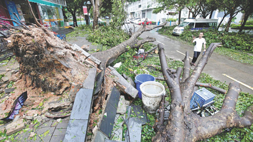 typhoon_1.jpg