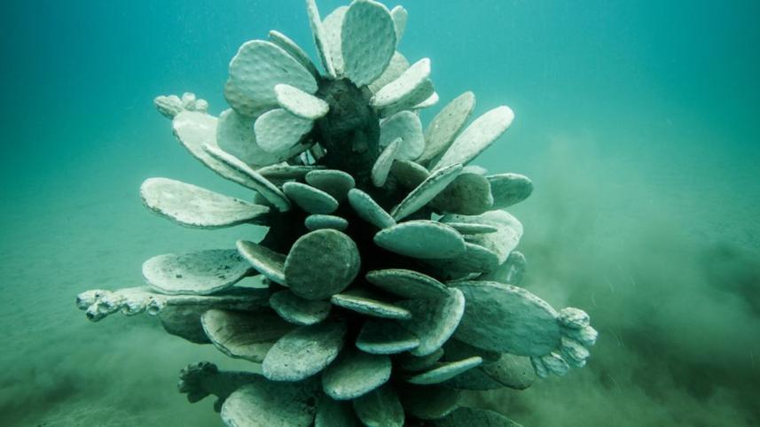 underwater-2.jpg