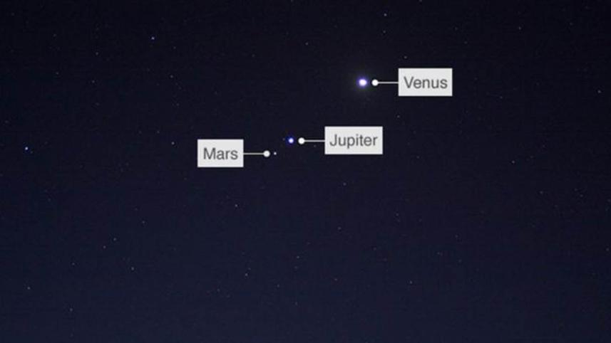 venus 1.jpg
