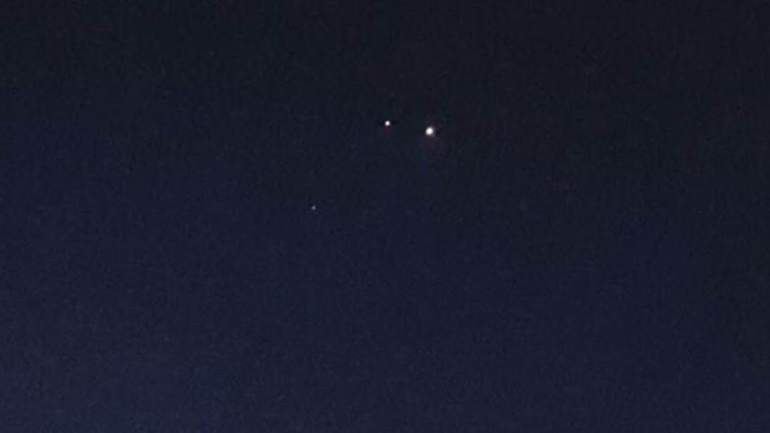 venus 4.jpg