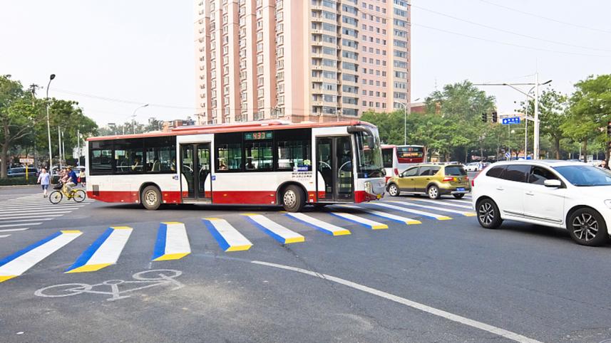 zebra_crossing-2.jpg