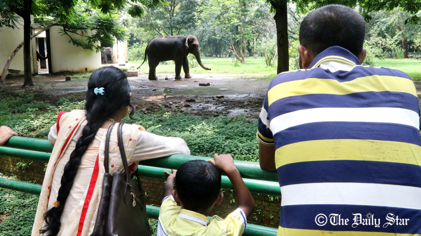 zoo4_1.jpg