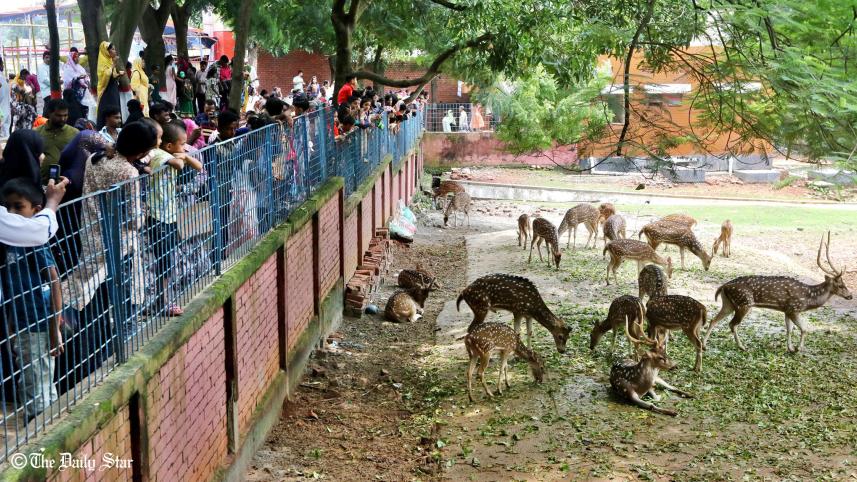 zoo6_1.jpg