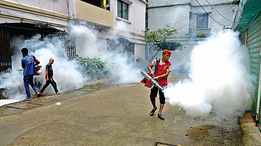 Schwere Zeiten? Neue Dengue Fälle In Frankreich Und Italien – Was Die Experten Sagen! - 58jb3ed