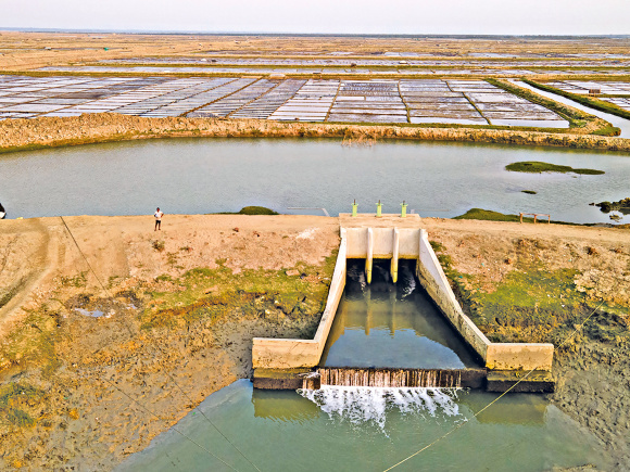 1.-Vast-shrimp-farms.jpg