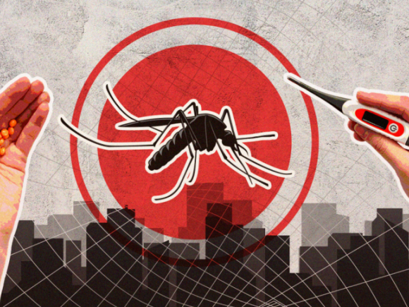Dengue_TDS_Visual.png