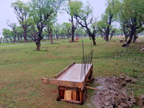 Taltali-upazila.jpg