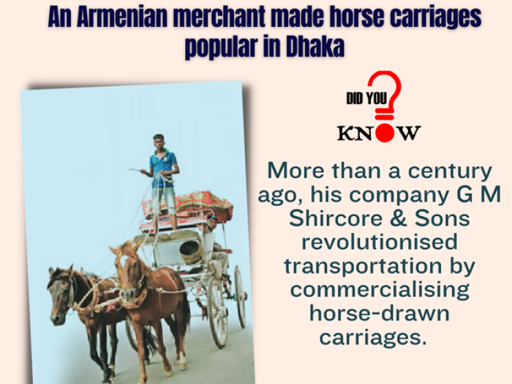 did_you_know_horse_carriage_tds.png
