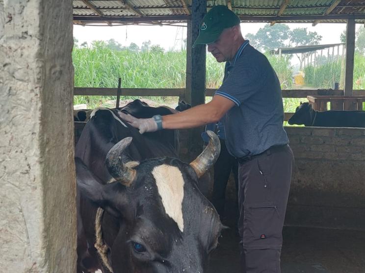 dairy_development.jpeg