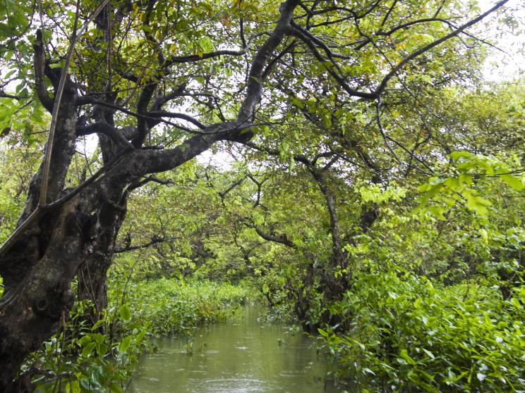 Picture-perfect landscapes in Bangladesh: 7 spots every photographer must visit