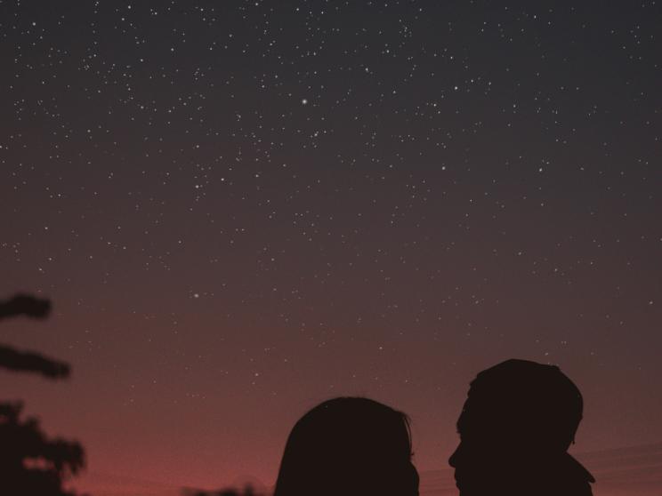 Butterflies or blindness? Decoding love at first sight       dilan-nagi-vb1sj4vc_i-unsplash.jpg