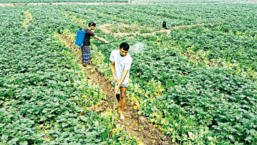 agri.jpg