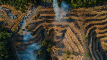 AFP__20260219__97Y92ZR__v1__MidRes__FilesIndonesiaEnvironmentConservationAnimalFores.jpg
