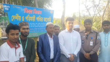 Patuakhali_BirdSanctuary_4.PNG