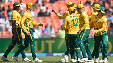ProteaFire.jpg