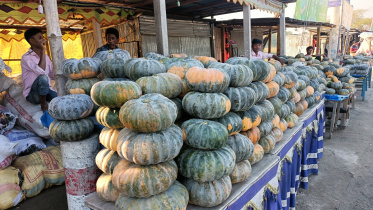 bumper-pumpkin.jpg