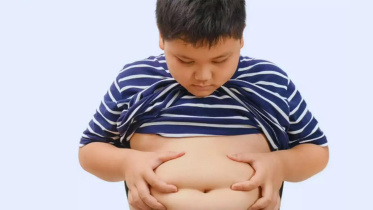 childhood-obesity-theory.jpg