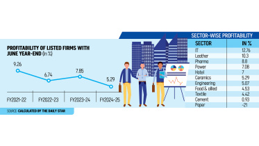 Bangladesh Listed Companies Profitability FY25