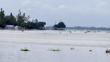 Teesta River crosses danger level again