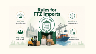 FTZ imports.png