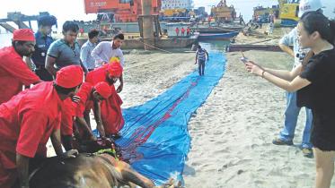 china-style-padma-bridge.jpg