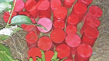 ctg-bomb-seized-01.jpg
