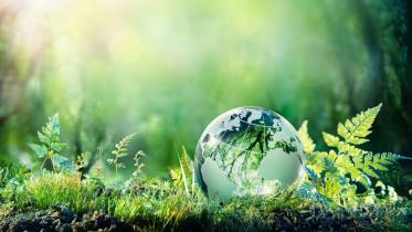 green-climate.jpg