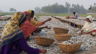 Chalan-Beel-shutki.jpg