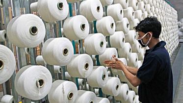 cotton.jpg
