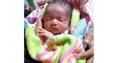 Newborn