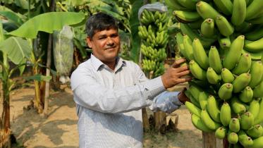 G9-banana.jpg