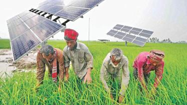 Solar-irrigation.jpg